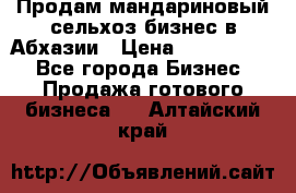 Продам мандариновый сельхоз-бизнес в Абхазии › Цена ­ 1 000 000 - Все города Бизнес » Продажа готового бизнеса   . Алтайский край